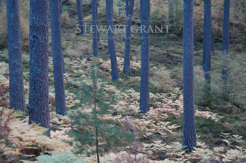 Rural and Urban Landscapes